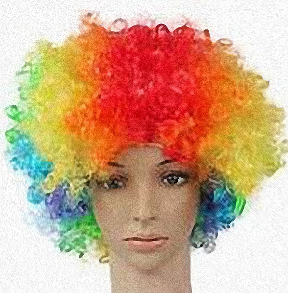 (image for) Ladies Afro Wig One Size